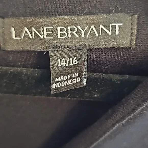 Perfect LBD From Lane Bryant - Picture 3 of 8